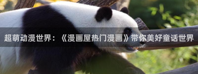 免费漫画更新列表