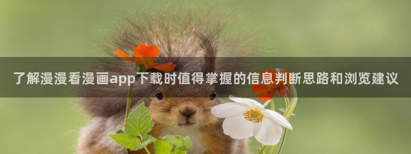 免费漫画漫画推荐大全:了解漫漫看漫画app下载时值得掌握的信息判断思路和浏览建议