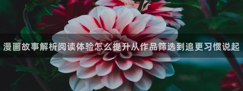 免费漫画人气漫画排行