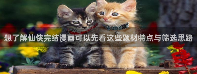 免费漫画热门作品排行